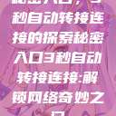 秘密入口，3秒自动转接连接的探索秘密入口3秒自动转接连接:解锁网络奇妙之门  第1张