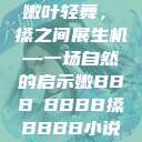 嫩叶轻舞，槡搡之间展生机—一场自然的启示嫩BBB槡BBBB搡BBBB小说  第1张