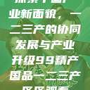 探索中国产业新面貌，一二三产的协同发展与产业升级99精产国品一二三产区区观看  第1张