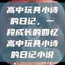 高中玩具小诗的日记，一段成长的回忆高中玩具小诗的日记小说  第1张