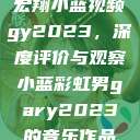 宏翔小蓝视频gy2023，深度评价与观察小蓝彩虹男gary2023的音乐作品  第1张