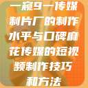 一窥9一传媒制片厂的制作水平与口碑麻花传媒的短视频制作技巧和方法  第1张