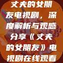 丈夫的女朋友电视剧，深度解析与观感分享《丈夫的女朋友》电视剧在线观看  第1张