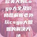 欧美大妈Logo大全及价格图解析老外玩csgo大姐姐的解决方法  第1张