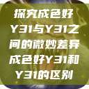 探究成色好Y31与Y31之间的微妙差异成色好Y31和Y31的区别  第1张