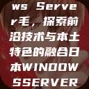 日本Windows Server毛，探索前沿技术与本土特色的融合日本WINDOWSSERVER毛  第1张