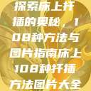 探索床上扦插的奥秘，108种方法与图片指南床上108种扦插方法图片大全  第1张