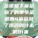 金银瓶下葡萄熟了的季节金银瓶4葡萄熟了原名叫什么_第01集  第1张