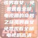 孤男寡女，免费观看全部电视剧的奇妙之旅孤男寡女免费观看全部电视剧高清  第1张