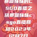 暴躁妹妹的CSGO直播之旅暴躁妹妹csgo直播回放2023年12月7日  第1张