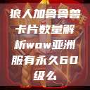狼人加鲁鲁兽卡片数量解析wow亚洲服有永久60级么  第1张