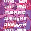 小蓝G钙与GGY钙，探索2023年的钙营养新篇章小蓝g钙2023ggy钙2023的功能介绍  第1张