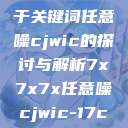 探索数字世界的奥秘，基于关键词任意噪cjwic的探讨与解析7x7x7x任意噪cjwic-17c20.cm-17c.11  第1张