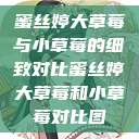 蜜丝婷大草莓与小草莓的细致对比蜜丝婷大草莓和小草莓对比图  第1张