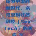 探索中国的新时代，从性感到性感科技（SexTech）的演变с9'  第1张
