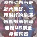暴躁老妈与荒野大镖客，一段别样的生活冒险故事暴躁老妈46集全免费观看  第1张