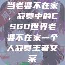 当老婆不在家，寂寞中的CSGO世界老婆不在家一个人寂寞王者文案  第1张