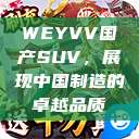 WEYVV国产SUV，展现中国制造的卓越品质  第1张