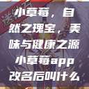 小草莓，自然之瑰宝，美味与健康之源小草莓app改名后叫什么  第1张