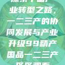 探索中国产业转型之路，一二三产的协同发展与产业升级99精产国品一二三产区区观看  第1张
