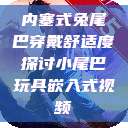 内塞式兔尾巴穿戴舒适度探讨小尾巴玩具嵌入式视频  第1张