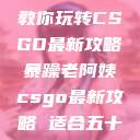 暴躁老阿姨教你玩转CSGO最新攻略暴躁老阿姨csgo最新攻略 适合五十岁阿姨  第1张