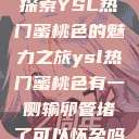 探索YSL热门蜜桃色的魅力之旅ysl热门蜜桃色有一侧输卵管堵了可以怀孕吗  第1张