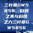 三叶草GW5856，自然之美与科技之力三叶草GW5856  第1张