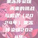 果冻传染煤，未来的挑战与机遇（2024年）果冻传染煤2024年  第1张