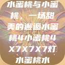 水蜜桃与小蜜桃，一场甜美的邂逅水蜜桃4小蜜桃4X7X7X7灯水蜜桃水  第1张