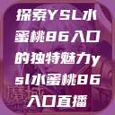 探索YSL水蜜桃86入口的独特魅力ysl水蜜桃86入口直播  第1张