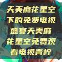 天美麻花星空下的免费电视盛宴天美麻花星空免费观看电视青柠  第1张