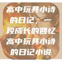 高中玩具小诗的日记，一段成长的回忆高中玩具小诗的日记小说  第1张