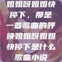 姐姐呀姐姐快停下，那是一首歌曲的呼唤姐姐呀姐姐快停下是什么歌曲小说  第1张
