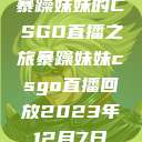 暴躁妹妹的CSGO直播之旅暴躁妹妹csgo直播回放2023年12月7日  第1张