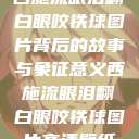 西施流眼泪翻白眼咬铁球图片背后的故事与象征意义西施流眼泪翻白眼咬铁球图片高清壁纸  第1张