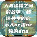 人与猪狗之间的故事，和谐共生的启示人or猪or狗的dna  第1张