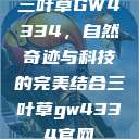 三叶草GW4334，自然奇迹与科技的完美结合三叶草gw4334官网  第1张