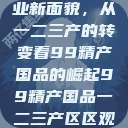 探索中国产业新面貌，从一二三产的转变看99精产国品的崛起99精产国品一二三产区区观看  第1张