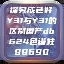 探究成色好Y31与Y31的区别国产db624色谱柱88690 第1张 探究成色好Y31与Y31的区别国产db624色谱柱88690 第1张