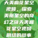 天美麻花星空视频，探索美丽星空的奇幻之旅天美麻花星空视频剧组的故事  第1张