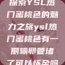 探索YSL热门蜜桃色的魅力之旅ysl热门蜜桃色有一侧输卵管堵了可以怀孕吗 第1张 探索YSL热门蜜桃色的魅力之旅ysl热门蜜桃色有一侧输卵管堵了可以怀孕吗 第1张