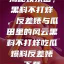 揭秘娱乐圈，黑料不打烊，反差婊与瓜田里的风云黑料不打烊吃瓜爆料反差婊下载  第1张