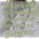 水蜜桃与小蜜桃的奇妙之旅水蜜桃4小蜜桃4X7X7X7灯水蜜桃水  第1张
