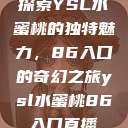 探索YSL水蜜桃的独特魅力，86入口的奇幻之旅ysl水蜜桃86入口直播  第1张