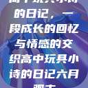 高中玩具小诗的日记，一段成长的回忆与情感的交织高中玩具小诗的日记六月观主  第1张
