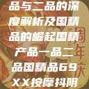 国精产品，一品与二品的深度解析及国精品的崛起国精产品一品二品国精品69XX按摩抖阴学院  第1张