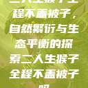 二人生猴子全程不盖被子，自然繁衍与生态平衡的探索二人生猴子全程不盖被子吗  第1张