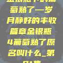 金银瓶下的葡萄熟了—岁月静好的丰收篇章金银瓶4葡萄熟了原名叫什么_第01集  第1张