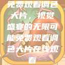 免费观看调色大片，视觉盛宴的无限可能免费观看调色大片在线观看  第1张